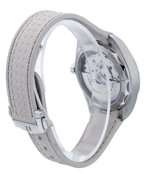 Omega Aqua Terra 150m Gents 220.12.41.21.02.005